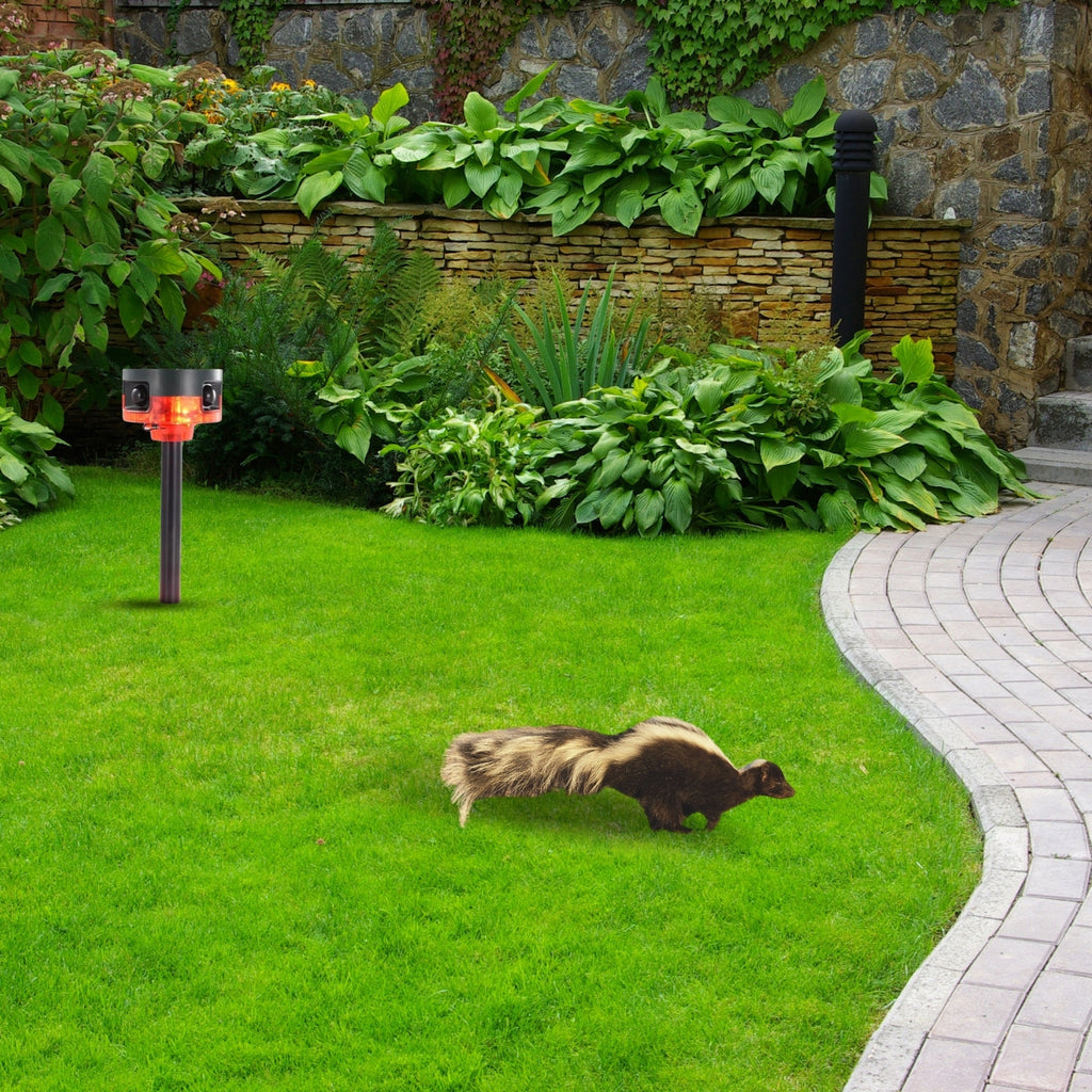 Solar-Powered Motion-Activated Strobe Light | 360° Detection, Multiple Sounds & Eco-Friendly Skunk Repeller for Home and Garden
