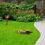Solar-Powered Motion-Activated Strobe Light | 360° Detection, Multiple Sounds & Eco-Friendly Skunk Repeller for Home and Garden