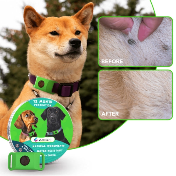 Flea and Tick Prevention Treatment | 12-Month Protection for Dogs and Cats