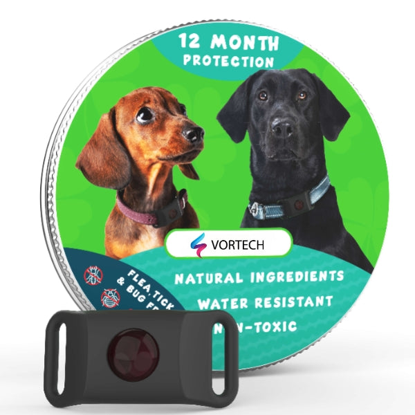 Flea and Tick Prevention Treatment | 12-Month Protection for Dogs and Cats