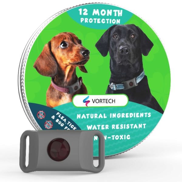 Flea and Tick Prevention Treatment | 12-Month Protection for Dogs and Cats