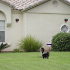 Solar-Powered Motion-Activated Strobe Light | 360° Detection, Multiple Sounds & Eco-Friendly Skunk Repeller for Home and Garden