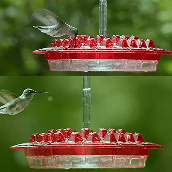 Sweety Hummingbird Feeder: Delight Your Garden with Charming Mason Jar Feeds