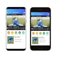 Video Camera Bird Feeder | HD Recording, Motion Detection & Ideal for Backyard Birdwatching
