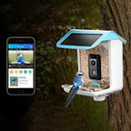 Video Camera Bird Feeder | HD Recording, Motion Detection & Ideal for Backyard Birdwatching
