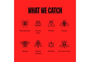 Flying Insect and Mosquito Trap | Effective, Eco-Friendly & Ideal for Outdoor Spaces