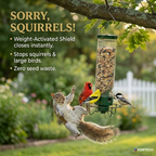 SpinGuard™ Squirrel Proof Bird Feeder | Metal Spinning Feeder Squirrel Proof – Weight Activated Deterrent No Baffles For Squirrels Needed – Best Squirrel Resistant Design to Keep Squirrels Off