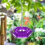 Sweety Hummingbird Feeder: Delight Your Garden with Charming Mason Jar Feeds