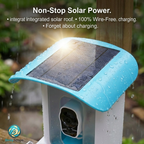 BirdyScope™ Smart Bird Feeder with Camera No Monthly Fees | Solar Powered Hummingbird Feeder Live Bird Cam House - Wireless 2-in-1 Seed & Hummingbird Station