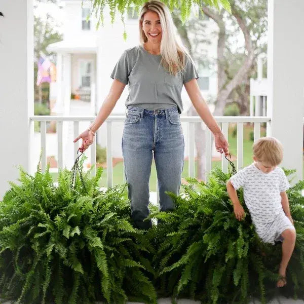 UV Resistant Lifelike Artificial Boston Fern | Realistic, Easy Maintenance & Ideal for Indoor/Outdoor Decoration