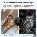 MyWingCam™ Bird Feeder with Camera 1080P HD | Wireless Bird House with Camera for Outside – Window or Hanging Bird Feeder Cam with Night Vision, Audio & Free App – Live Bird Feeder Cam