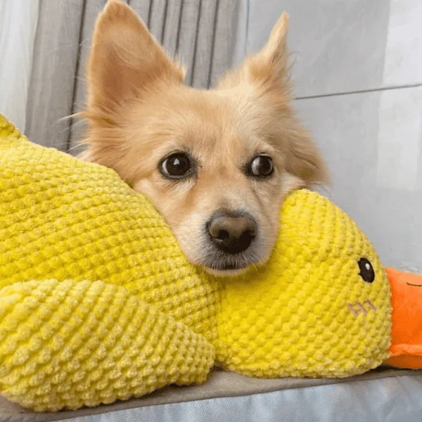 The Mellow Dog Duck: Calming Plush Toy for Relaxed and Happy Dogs