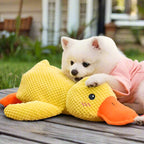 The Mellow Dog Duck: Calming Plush Toy for Relaxed and Happy Dogs