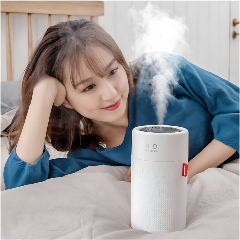 Portable Rechargeable Humidifier | Compact, Energy-Efficient & Ideal for Home and Office Use