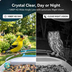 BirdyScope™ Smart Bird Feeder with Camera No Monthly Fees | Solar Powered Hummingbird Feeder Live Bird Cam House - Wireless 2-in-1 Seed & Hummingbird Station