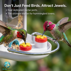 BirdyScope™ Smart Bird Feeder with Camera No Monthly Fees | Solar Powered Hummingbird Feeder Live Bird Cam House - Wireless 2-in-1 Seed & Hummingbird Station