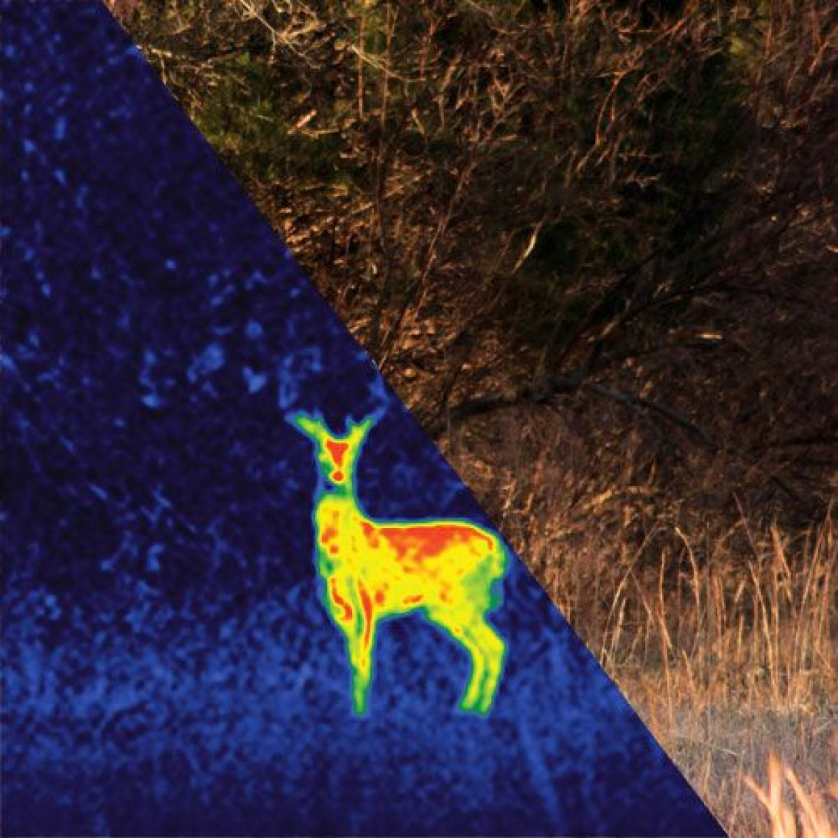 Smartphone Thermal Imaging Monocular - Ideal for Hunting & Security