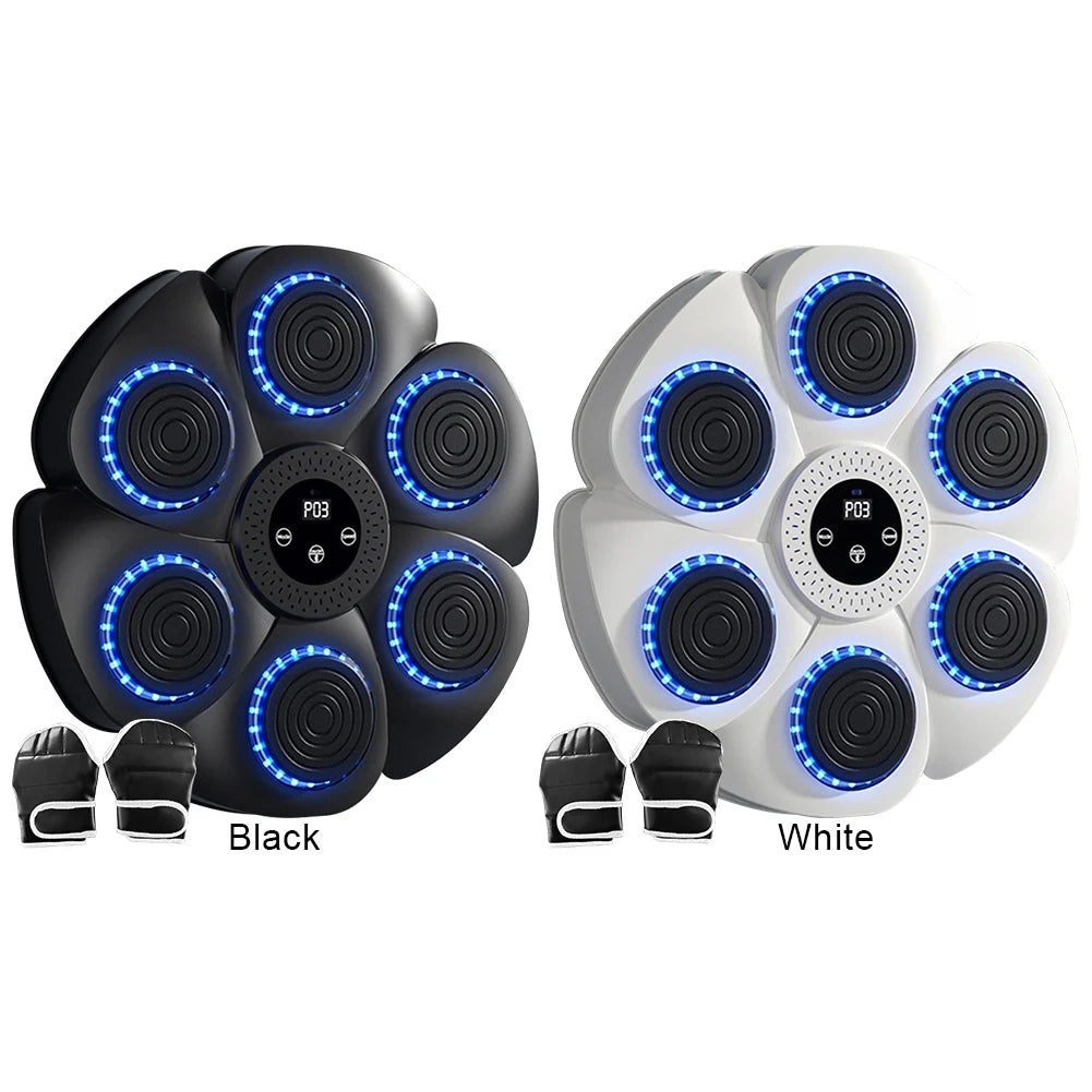 Boxing Reaction Wall Target – LED Light Target | Home Training Equipment