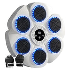 Boxing Reaction Wall Target – LED Light Target | Home Training Equipment
