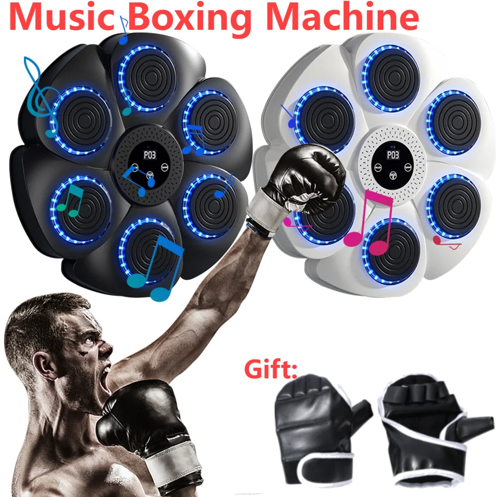 Boxing Reaction Wall Target – LED Light Target | Home Training Equipment