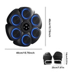 Boxing Reaction Wall Target – LED Light Target | Home Training Equipment