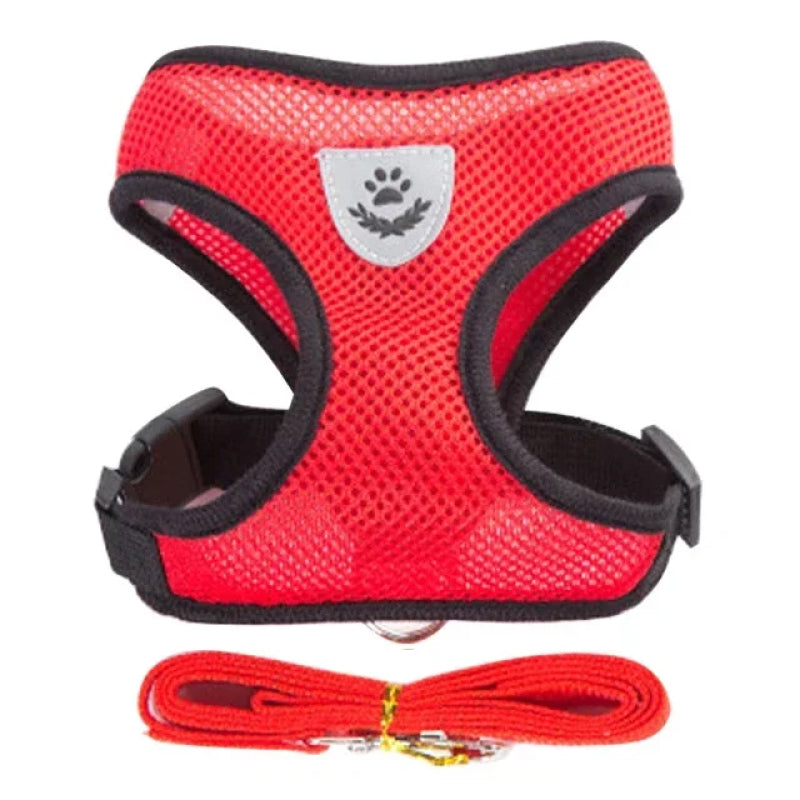 Cat Harness with Lead Leash Adjustable