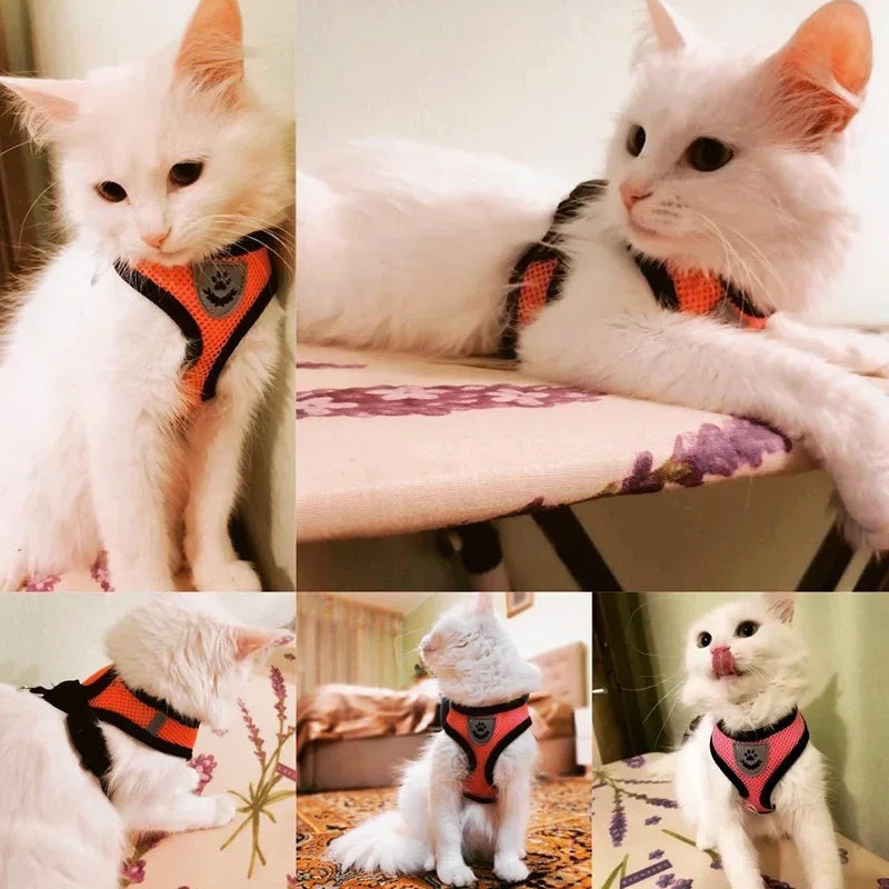 Cat Harness with Lead Leash Adjustable