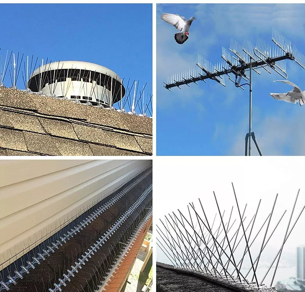Stainless Steel Squirrel Spikes | Humane, Weather-Resistant Deterrent for Birds and Squirrels, Easy Installation