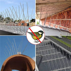 Stainless Steel Squirrel Spikes | Humane, Weather-Resistant Deterrent for Birds and Squirrels, Easy Installation