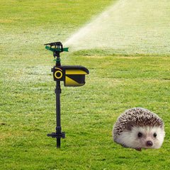 Motion-activated sprinkler with animal sensor for outdoor lawn. Ideal for repelling deer and other pests using water for deterrence.