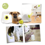 Dog Interactive ball launcher | Automatic Ball thrower - Pet Agility equipment | Fun pet trainning toy and Perfect Gifts for pets