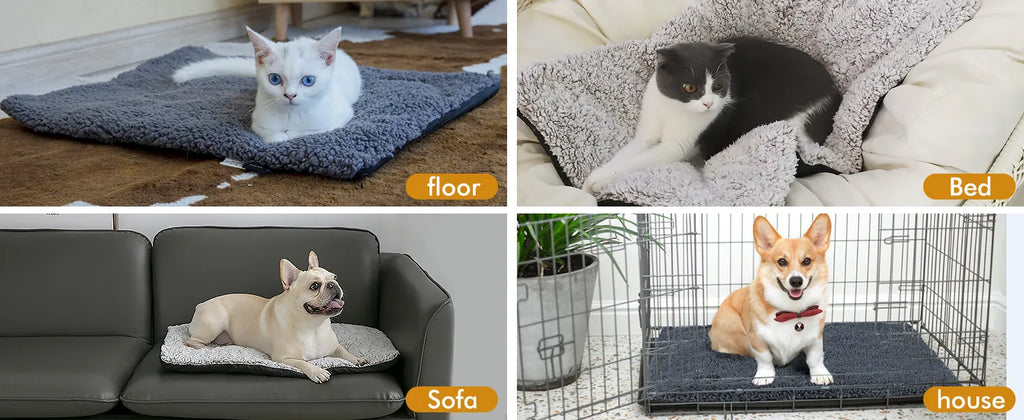 Self-Warming Cat Bed | Thermal Heated Mat for Indoor & Outdoor Comfort