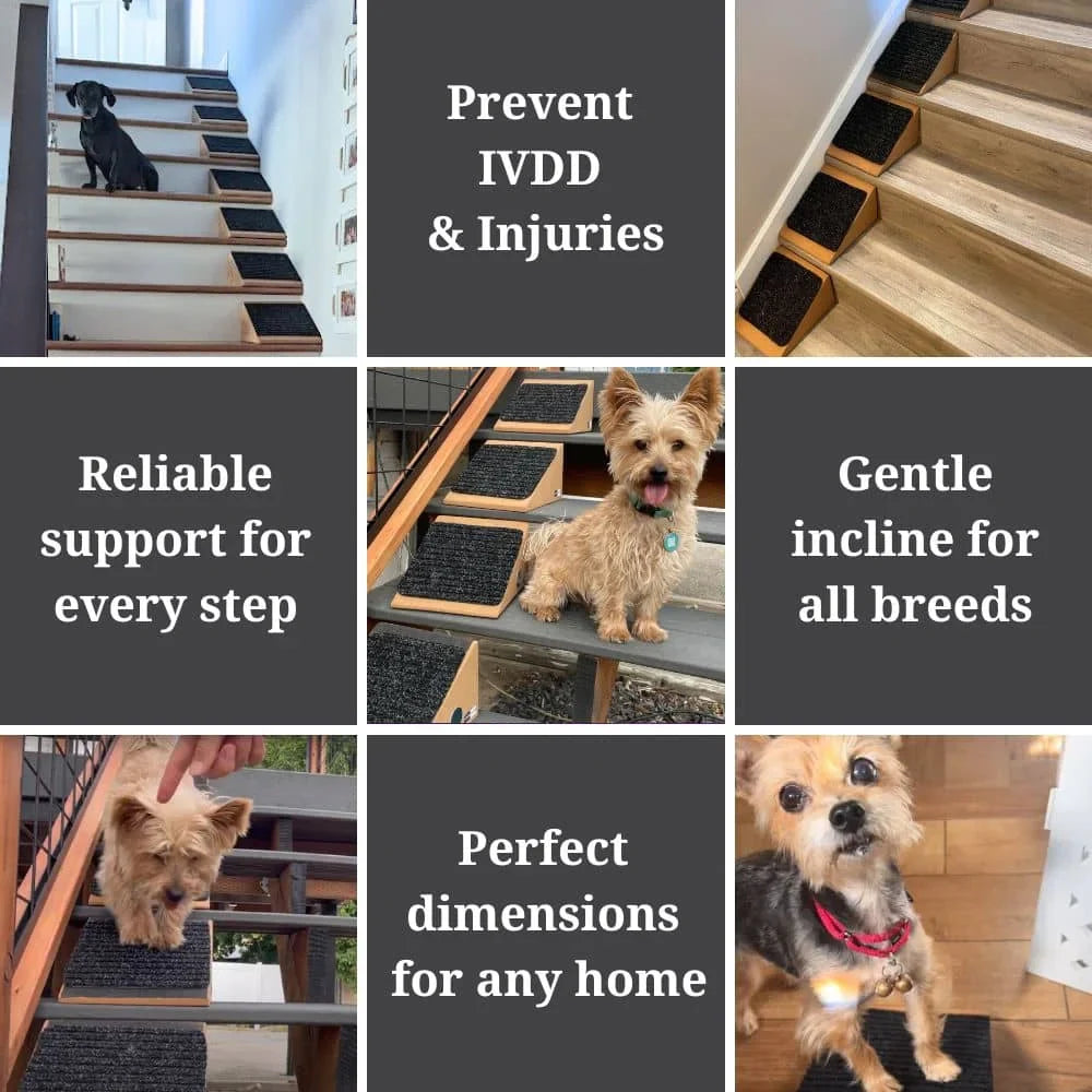 Modular Pet Ramp for Stairs | Non-Slip, Eco-Friendly Design & Ideal for Small Dogs, Cats, Seniors & Indoor/Outdoor Use