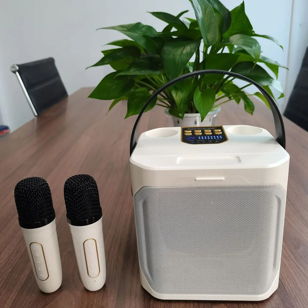 Portable High Power Karaoke Bluetooth Speaker | 100W, Dual Microphones & Perfect for Parties, Camping & Outdoor Gatherings