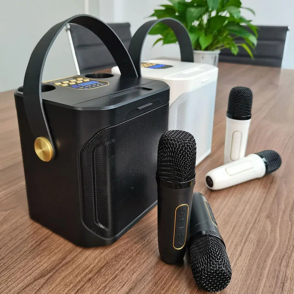 Portable High Power Karaoke Bluetooth Speaker | 100W, Dual Microphones & Perfect for Parties, Camping & Outdoor Gatherings