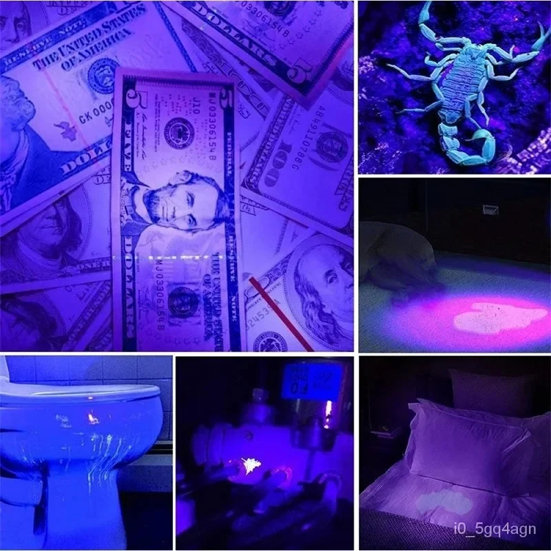 UV Flashlight for Bed Bug Detection | 100 LED, Wide Beam & Ideal for Home Inspections and Travel