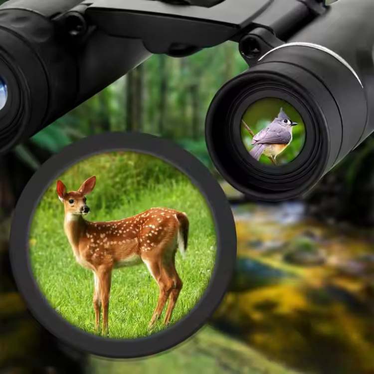 40x22 HD Long-Range Binoculars | Lightweight, Multi-Coated Lenses for Bird Watching, Wildlife & Stargazing Adventures
