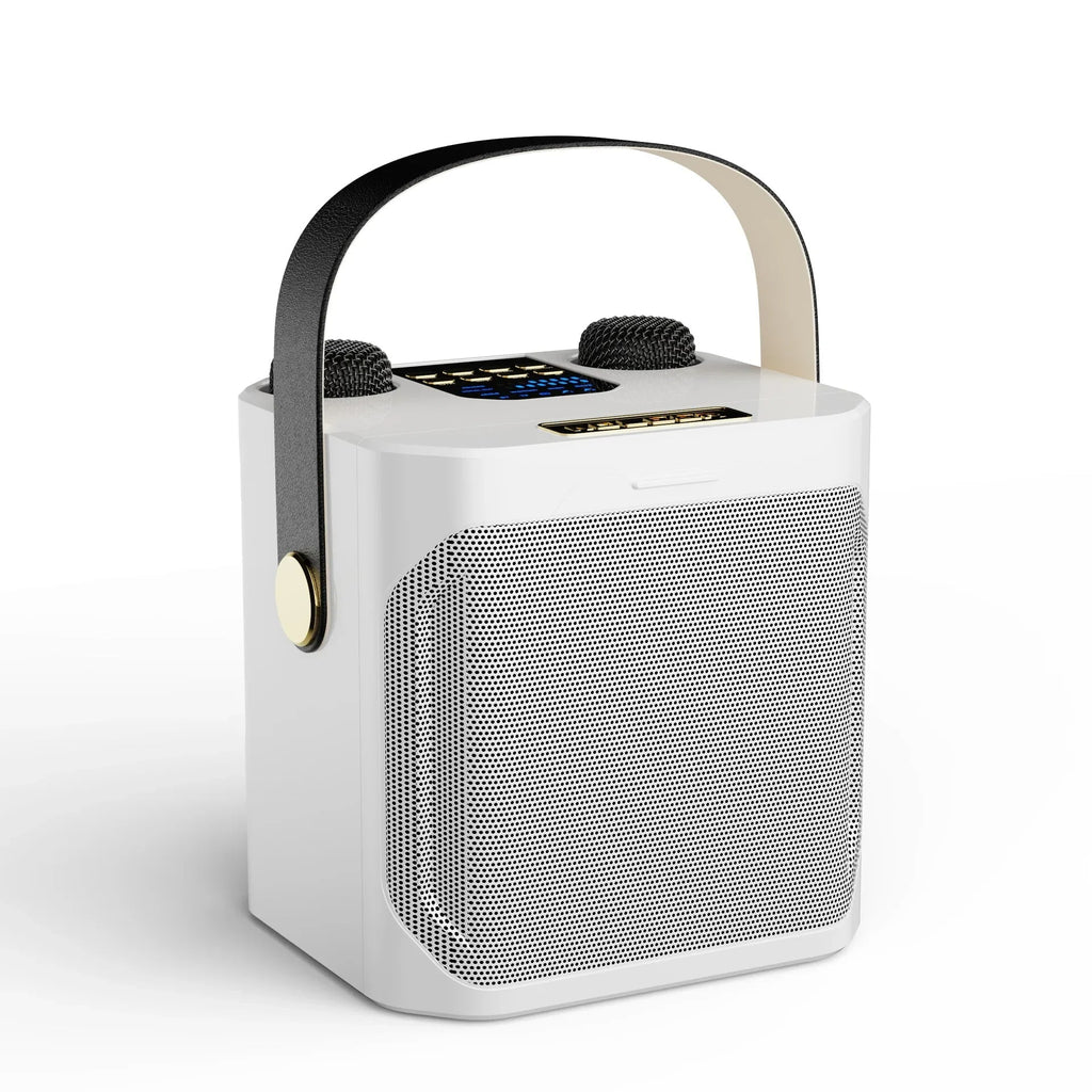Portable High Power Karaoke Bluetooth Speaker | 100W, Dual Microphones & Perfect for Parties, Camping & Outdoor Gatherings