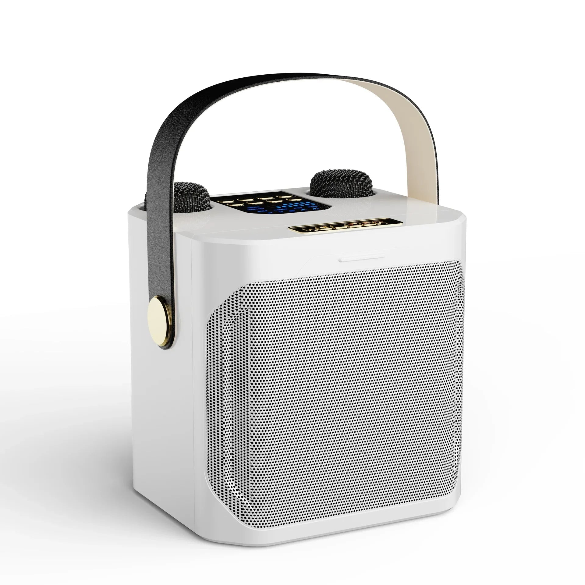 Portable High Power Karaoke Bluetooth Speaker | 100W, Dual Microphones & Perfect for Parties, Camping & Outdoor Gatherings