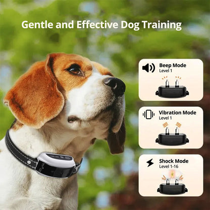 Wireless Dog Fence System -  Waterproof Training Collar | Keep Your Dog Safe with Smart Boundary Control