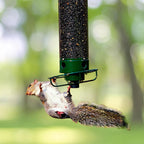 SpinGuard™ Squirrel Proof Bird Feeder | Metal Spinning Feeder Squirrel Proof – Weight Activated Deterrent No Baffles For Squirrels Needed – Best Squirrel Resistant Design to Keep Squirrels Off