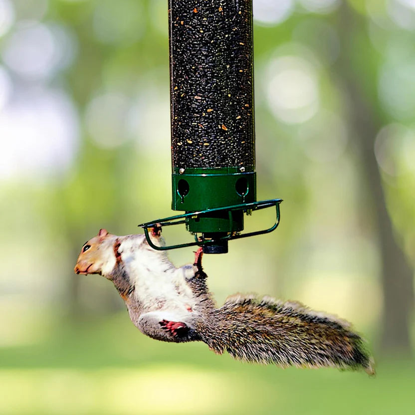 SpinGuard™ Squirrel Proof Bird Feeder | Metal Spinning Feeder Squirrel Proof – Weight Activated Deterrent No Baffles For Squirrels Needed – Best Squirrel Resistant Design to Keep Squirrels Off
