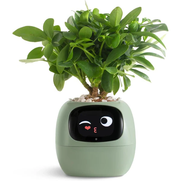 Smart Plant Pot Ivy | Waterproof, Soil Monitoring & Automated Watering for Smart Home Gardening