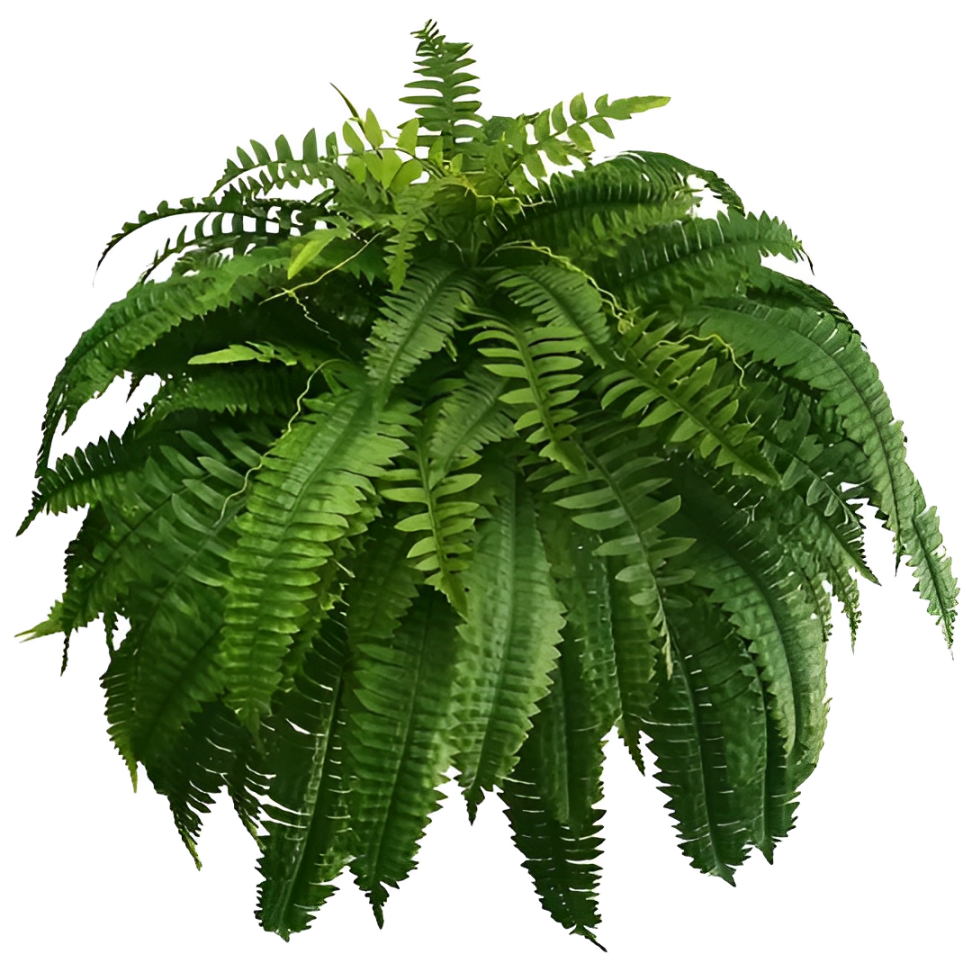 UV Resistant Lifelike Artificial Boston Fern | Realistic, Easy Maintenance & Ideal for Indoor/Outdoor Decoration