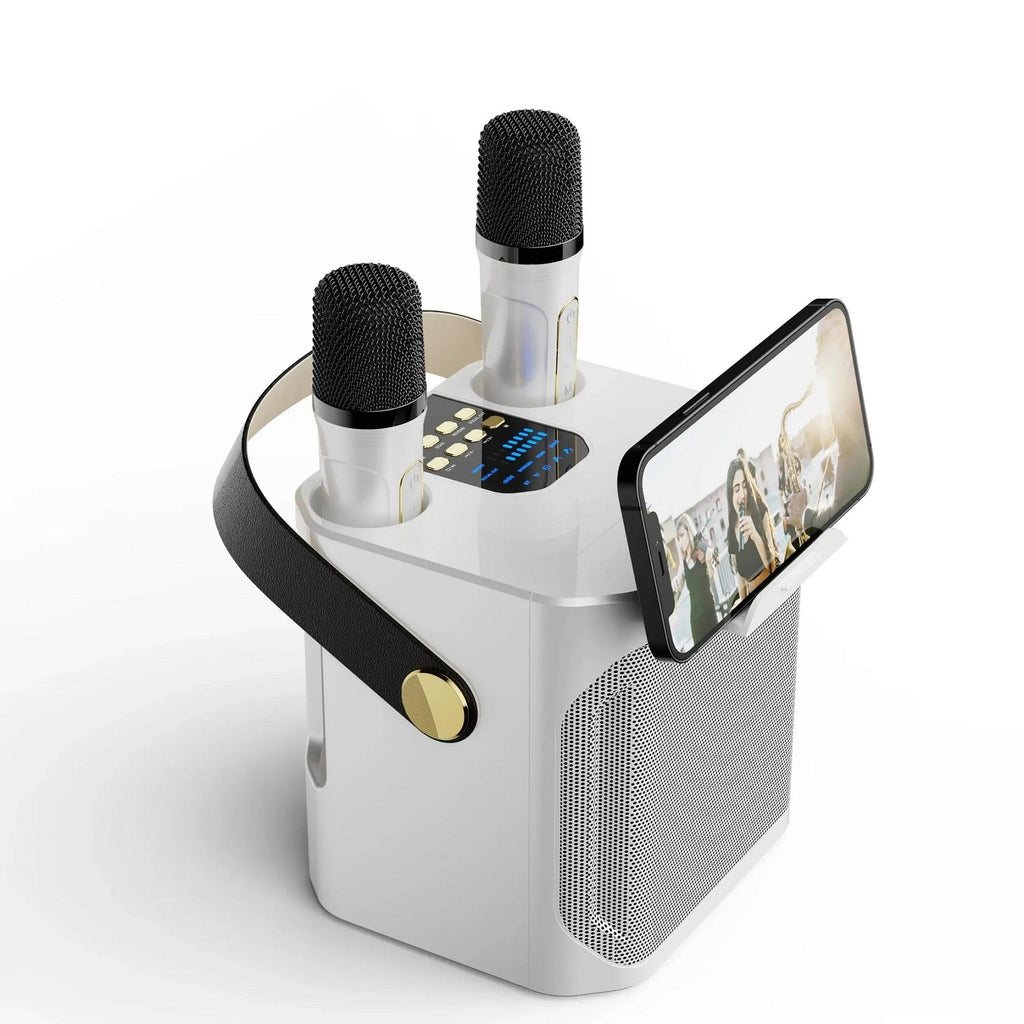 Portable High Power Karaoke Bluetooth Speaker | 100W, Dual Microphones & Perfect for Parties, Camping & Outdoor Gatherings