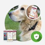 GPS Tracker For Dogs & Cats - Balma Home