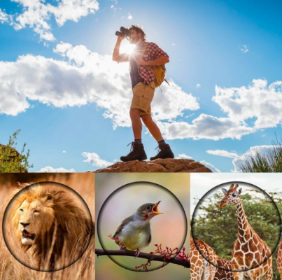 Night Vision Binoculars - Best Long Range Binoculars