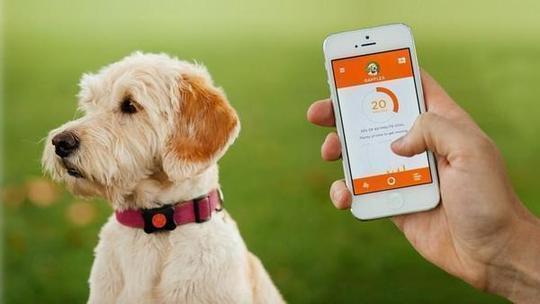 GPS Tracker For Dogs & Cats - Balma Home