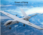 RC Plane | Remote Control Plane Predator Z51