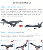 RC Plane | Remote Control Plane Predator Z51